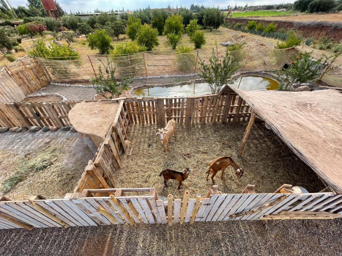 מלון El Harkat Jnan Lotf Marrakech מראה חיצוני תמונה