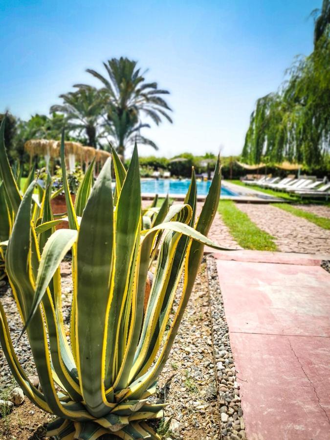 מלון El Harkat Jnan Lotf Marrakech מראה חיצוני תמונה