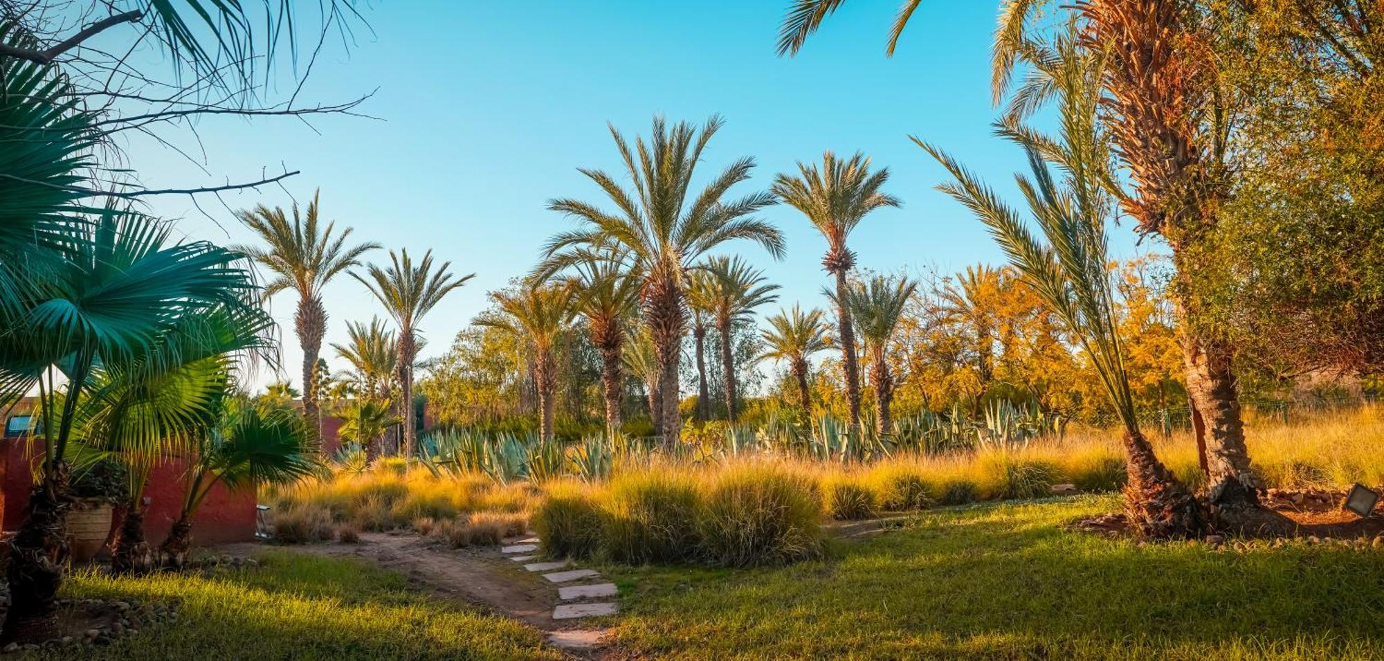 מלון El Harkat Jnan Lotf Marrakech מראה חיצוני תמונה