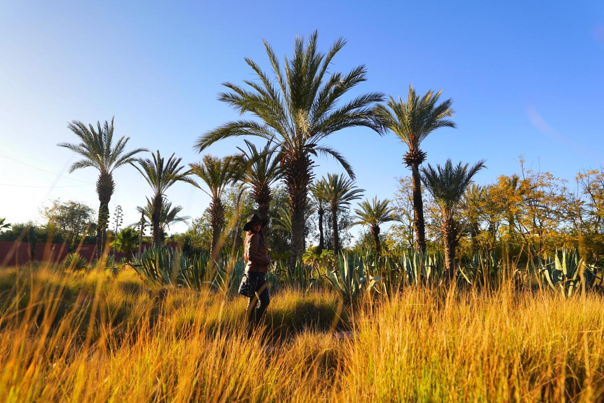 מלון El Harkat Jnan Lotf Marrakech מראה חיצוני תמונה